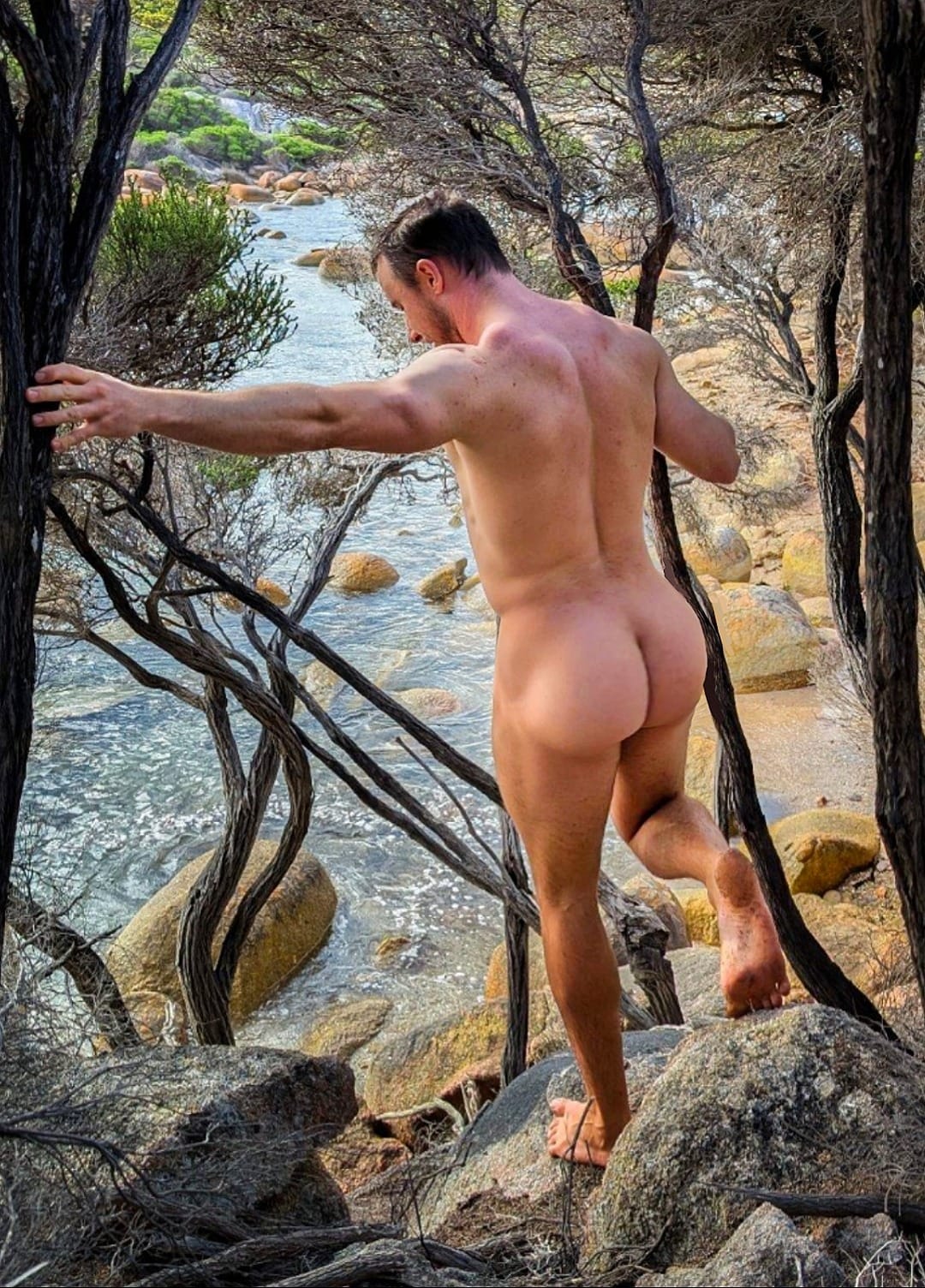 The New GoNaked Newsletter Is Out—And It’s Already Undressed