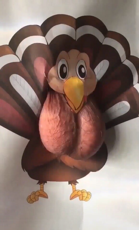 Join Us For Today's Thanks/Wanksgiving Zoom!